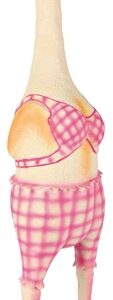 Trixie Kip In Bikini Met Dierengeluid Latex / Polyestervlies 48 cm