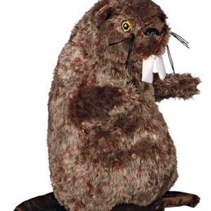 Trixie Pluche Bever Met Dierengeluid 27 cm 2 st
