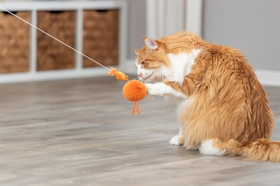 Trixie Kip Aan Elastisch Koord Pluche Met Catnip 20 cm 4 st