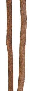 Trixie Set Zitstokken Schorshout 35x1-1.2 cm 4x2 st