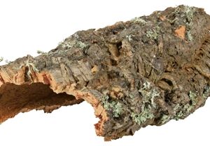 Trixie Reptiland Kurkplaat M Tot 40 cm 10 st