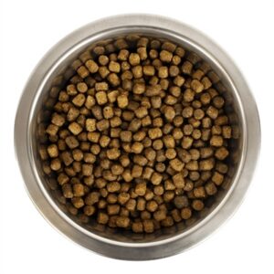 Yourdog Chien Français Blanc Et Orange Pup 12 kg