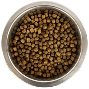 Yourdog Koningspoedel Pup 12 kg