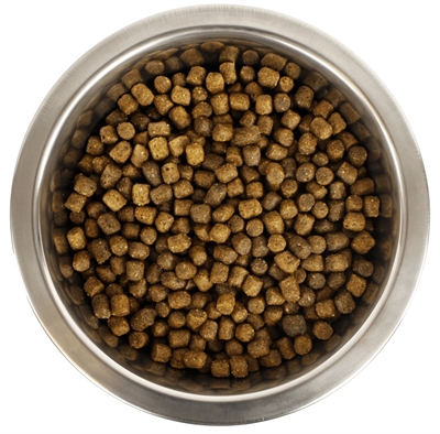 Yourdog Koningspoedel Pup 12 kg