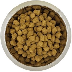 Yourdog Koningspoedel Volwassen 12 kg