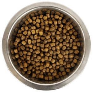 Yourdog Dwerg- Of Toypoedel Pup 12 kg