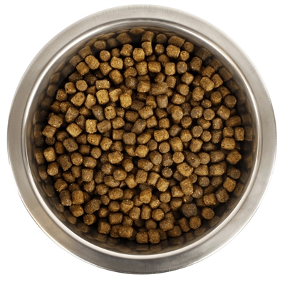 Yourdog Dwerg- Of Toypoedel Pup 12 kg