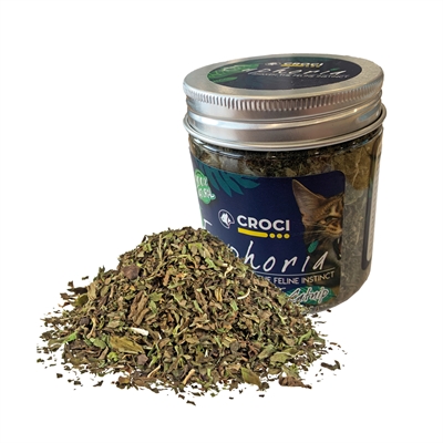 Croci Euphoria Catnip Pot 25 gr