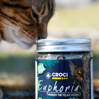 Croci Euphoria Catnip Pot 25 gr