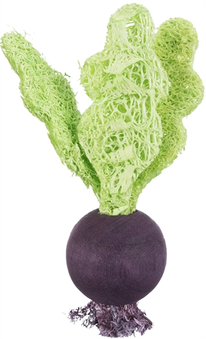 Trixie Speelbal Set Biet / Aardbei Hout / Loofah 6/9 cm