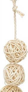 Trixie 3 Rotan Ballen Met Bel Aan Touw Naturel 24 cm