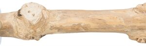 Trixie Zitstok Met Schroefbevestiging Koffiehout 20 cm Dia 2-3 cm