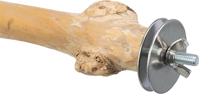 Trixie Zitstok Met Schroefbevestiging Koffiehout 20 cm Dia 2-3 cm