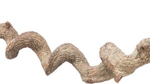Trixie Zitstok Hangend Drakenhout 36 cm Dia 2.5 cm
