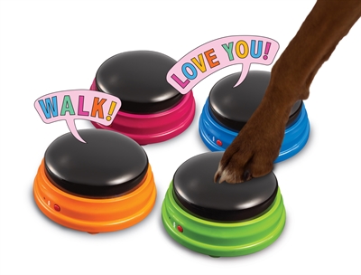 Hunger For Words Talking Pet Starter Set 19.5x4.7x19.6 cm