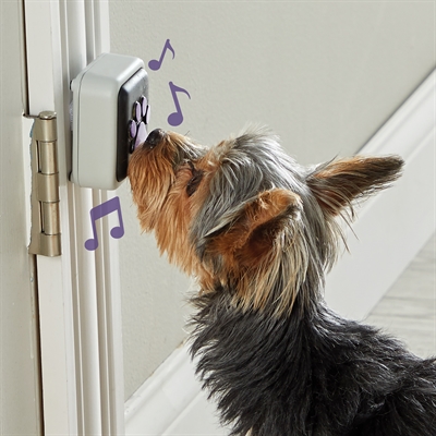Hunger For Words Talking Pet Doorbell 10.2x19.1x4.1 cm