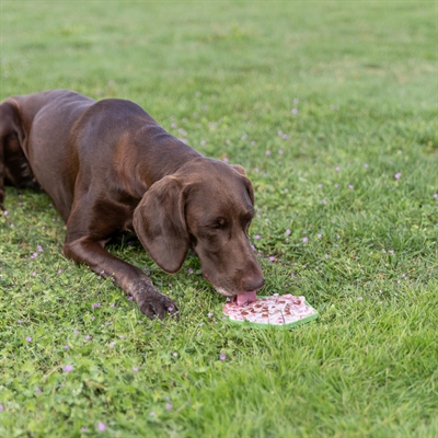 Trixie Lick'n'snack Mat Met Zuignappen Siliconen Salie 17 cm