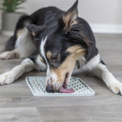 Trixie Lick'n'snack Mat Siliconen Lichtgrijs 20x20 cm