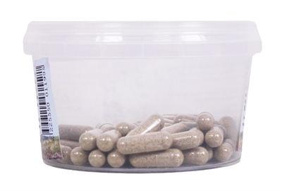 Dierendrogist Echinacea Bio Capsules 50 st