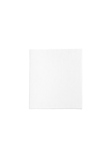 Earth Rated Dog Wipes Geurloos Composteerbaar 20.5x20.5 cm 100 st