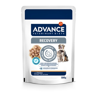 Advance Veterinary Diet Dog / Cat Recovery Herstel 11x100 gr