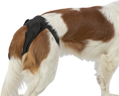 Trixie Beschermbroekje Comfort Mesh Materiaal Zwart 30-37 cm