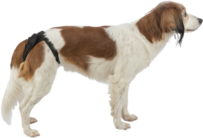 Trixie Beschermbroekje Comfort Mesh Materiaal Zwart 30-37 cm