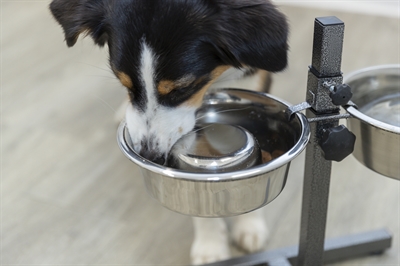 Trixie Voerbak Hond Slow Feeding RVS 17 cm