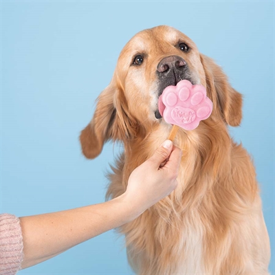 Smoofl Ijsmix Voor Honden Aardbei 160 gr