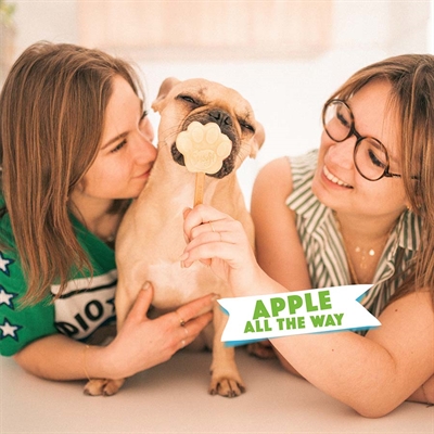 Smoofl Ijsmix Voor Honden Appel 160 gr
