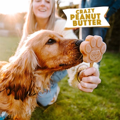 Smoofl Ijsmix Voor Honden Pindakaas 160 gr