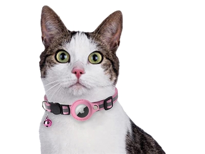 Croci Halsband Kat Met Tag Houder Roze 19-26x1.5 cm