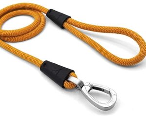 Morso Hondenriem Regular Rope Gerecycled Gold Goud 120x1 cm