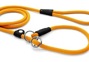 Morso Hondenriem Retrieverlijn Regular Rope Gerecycled Gold Goud 170x1 cm