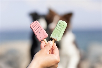 Trixie Ice Pop Roze 55 gr