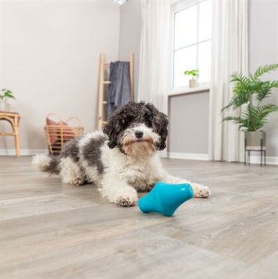 Trixie Snacktol Natuurrubber Petrol 12 cm 3 st