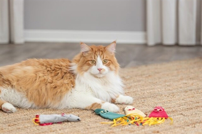 Trixie Muis Pluche Met Catnip Assorti 25 cm 4 st