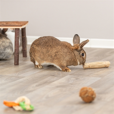 Trixie Grasspeelgoed Met Jute 16x3.5x3.5 cm
