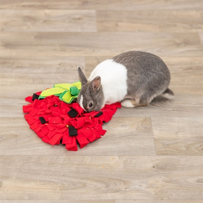 Trixie Snuffelmat Aardbei Rood 40x33 cm