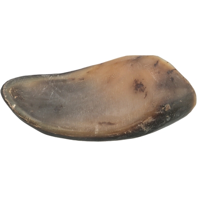 Trixie Buffelhoorn Gevuld Met Buffelpees 10-14 cm 6 st
