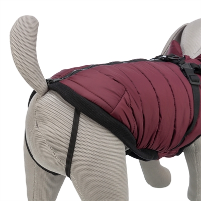 Trixie Hondenjas Pirou Met Tuig Sangria 24 cm