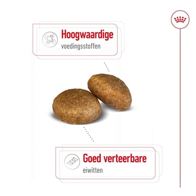 Royal Canin Maxi Adult 15 kg