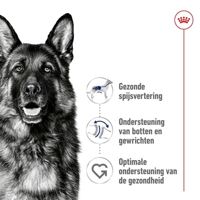 Royal Canin Maxi Adult 15 kg