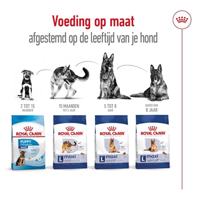 Royal Canin Maxi Adult 15 kg
