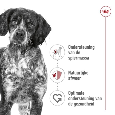 Royal Canin Medium Adult 15 kg