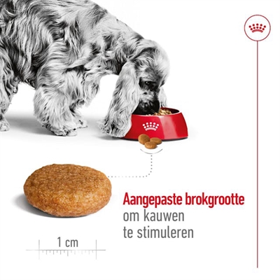 Royal Canin Medium Adult 15 kg