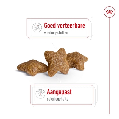 Royal Canin Mini Adult 2 kg