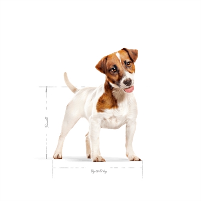 Royal Canin Mini Adult 2 kg