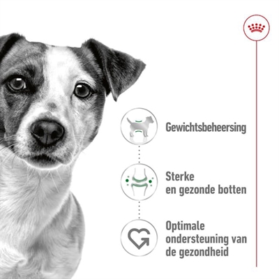Royal Canin Mini Adult 2 kg