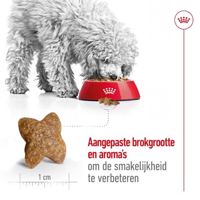Royal Canin Mini Adult 2 kg